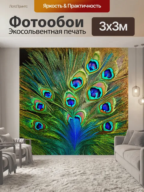 Фотообои величественное павлинье перо павлина мерцает в лучах света
