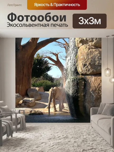 Фотообои Слон