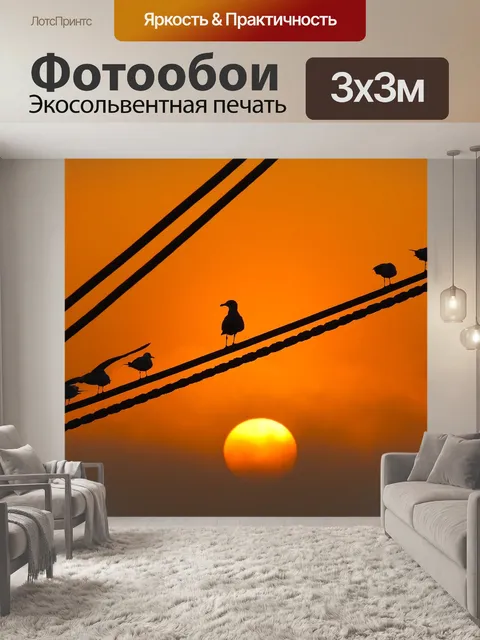 Фотообои Солнце
