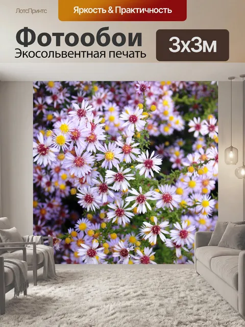 Фотообои Расцветает