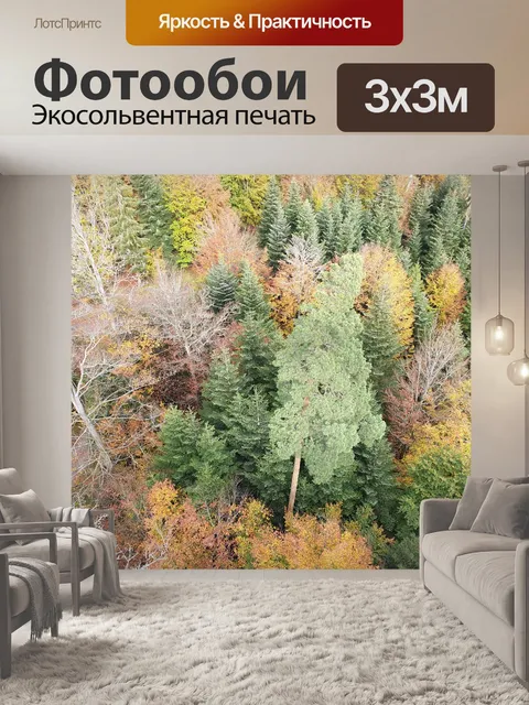 Фотообои Осенний лес