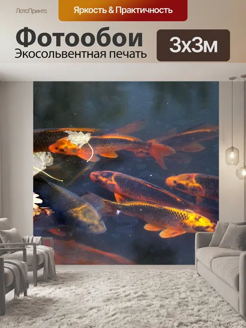 Фотообои Кои
