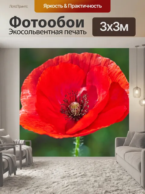Фотообои Мак
