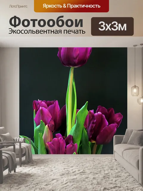 Фотообои Фиолетовые тюльпаны на черном