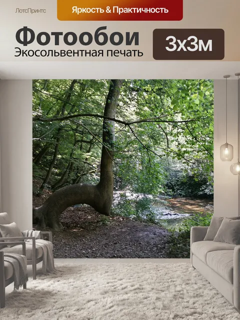 Фотообои Лес