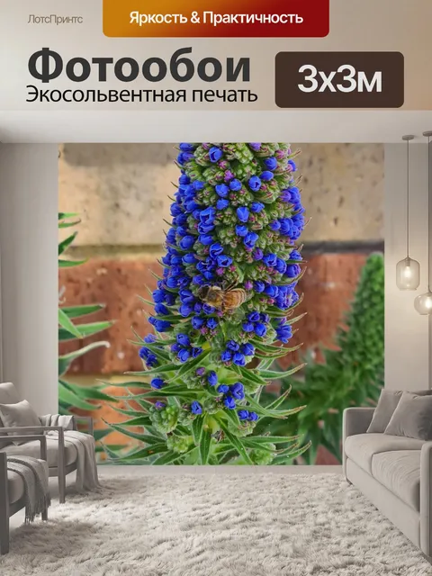 Фотообои Синий эхиум и пчела