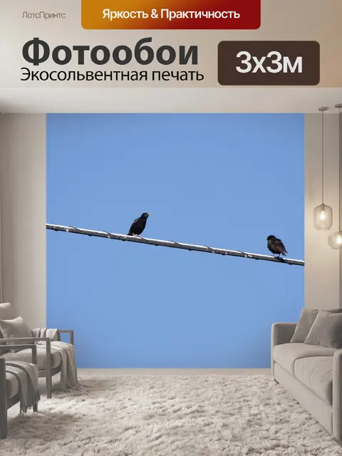 Фотообои Два