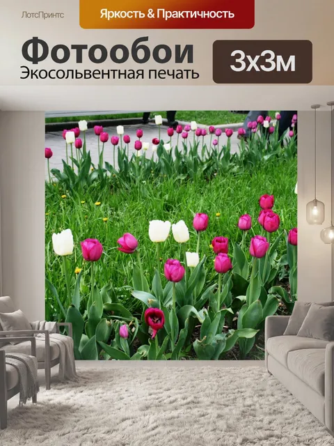 Фотообои тюльпаны в московском парке
