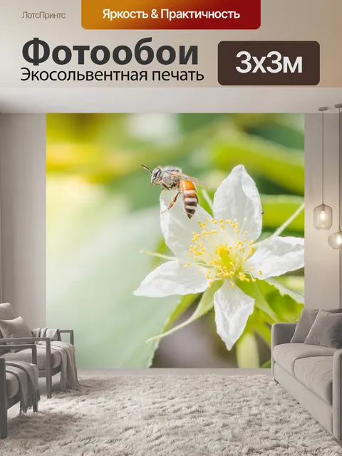 Фотообои Медоносная пчела с цветком