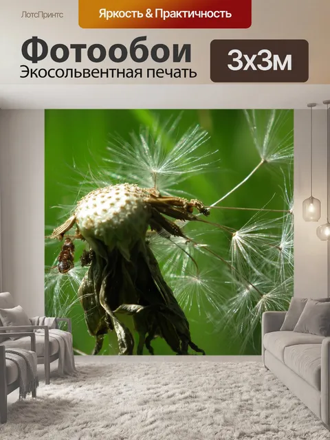 Фотообои Семена