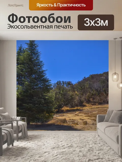 Фотообои Король Gillette Ranch