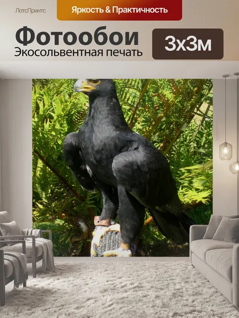 Фотообои плен орел на окуня