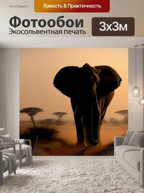 Фотообои слон в пыльной саванне на рассвете