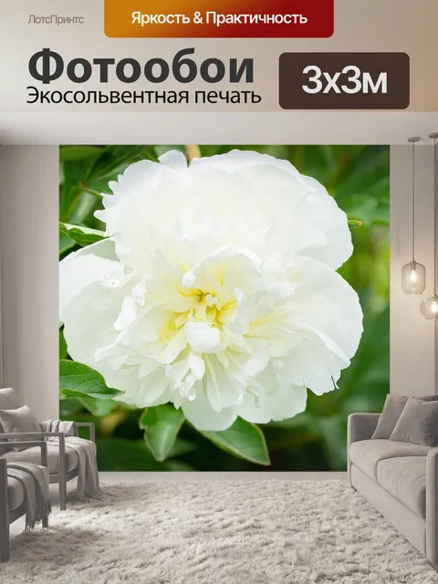 Фотообои Пион