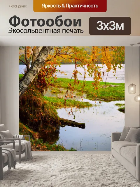 Фотообои Осенний лес