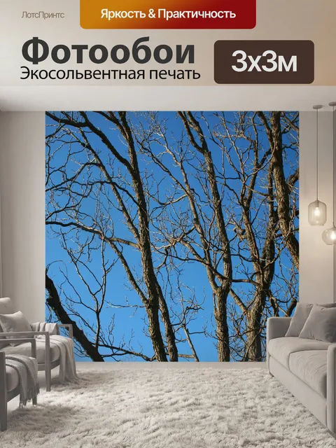 Фотообои филиалы и голубое небо