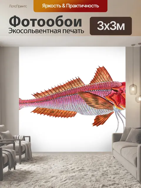 Фотообои Винтажное искусство тропических рыб