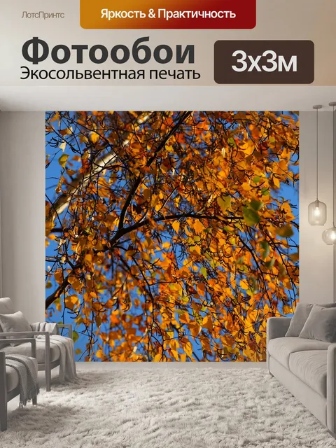 Фотообои Береза