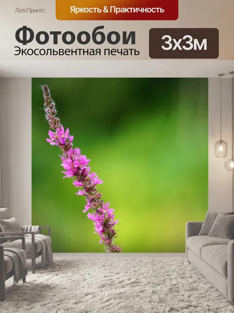 Фотообои Завод