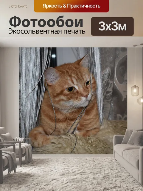 Фотообои Кот
