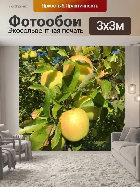 Фотообои Медовое золото яблоко