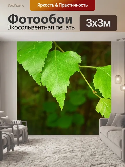 Фотообои Листьев березы