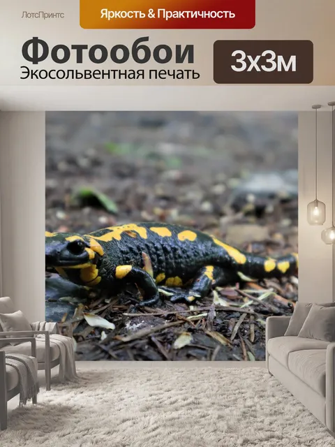 Фотообои Огненная саламандра