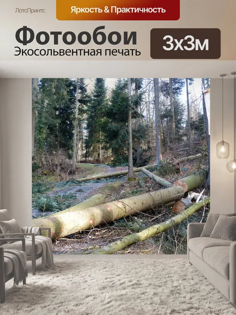 Фотообои Лесные работы