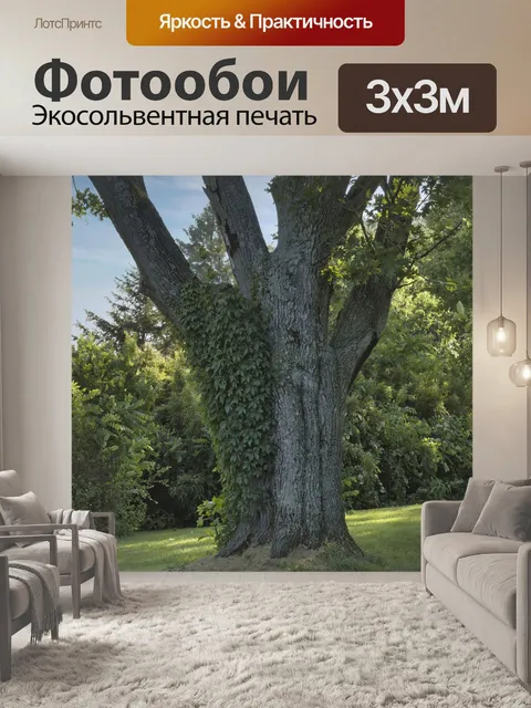 Фотообои Гигантский дуб