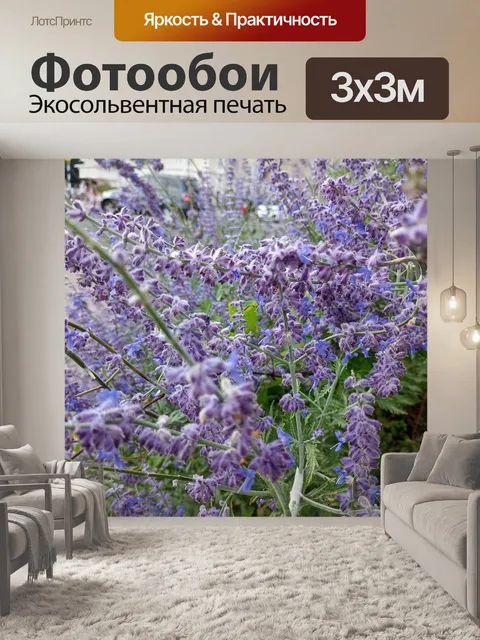 Фотообои Цветочный спрей