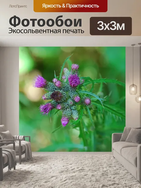 Фотообои Фиолетовый