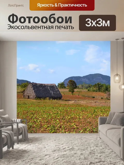 Фотообои Куба