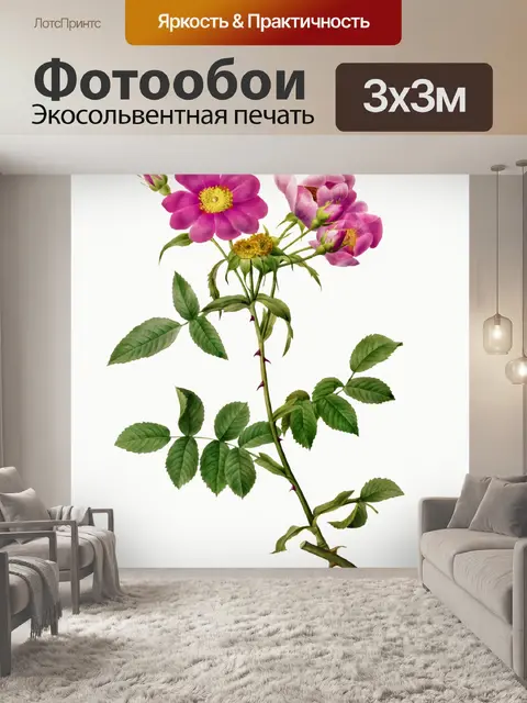 Фотообои Роза цветок винтажное искусство