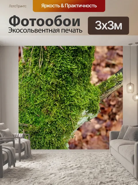 Фотообои Покрытый мхом ствол