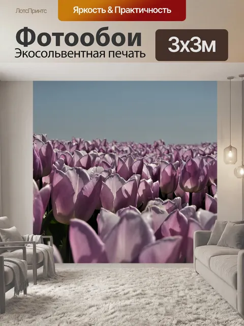 Фотообои Дирксланде