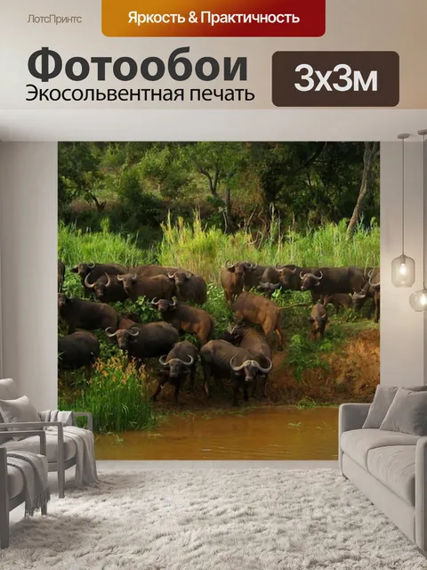 Фотообои Река слонов