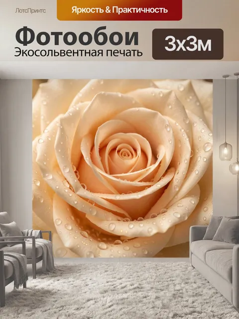 Фотообои Нежная кремовая роза в каплях