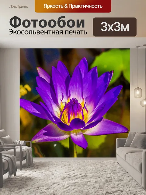 Фотообои цветок лотоса