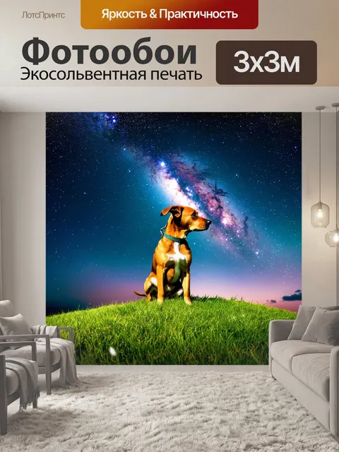 Фотообои собака на травяном холме, смотрящая на звездное небо, с млечным путем и созвездиями над головой