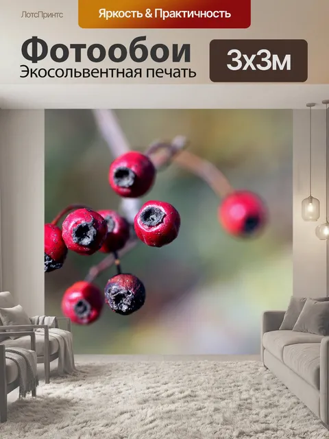 Фотообои Дикие розы