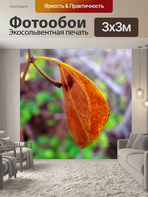 Фотообои темно-желтые обесцвеченные листья