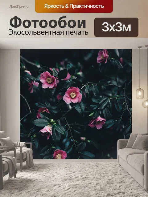 Фотообои Темный