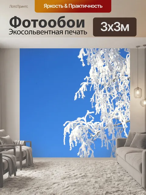 Фотообои Лес
