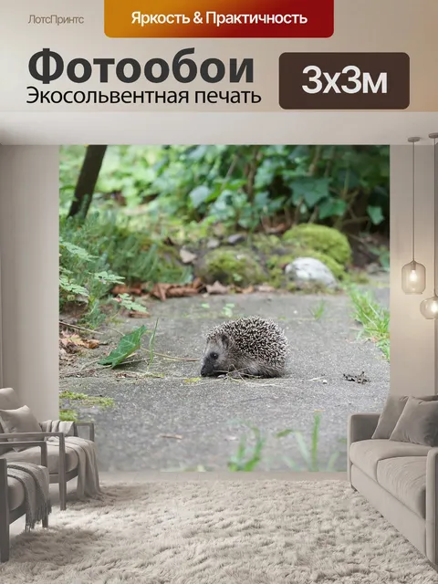 Фотообои Трава