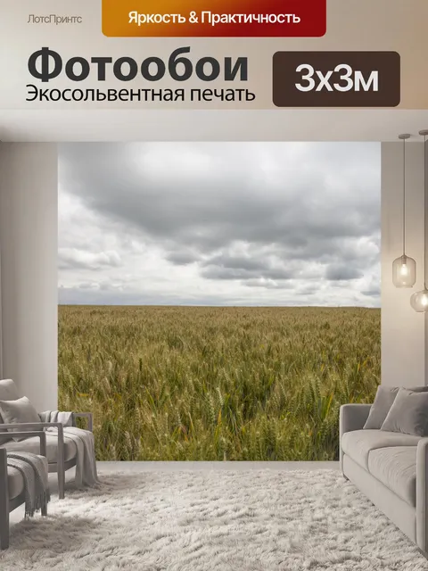Фотообои Золотое пшеничное поле и солнечный день