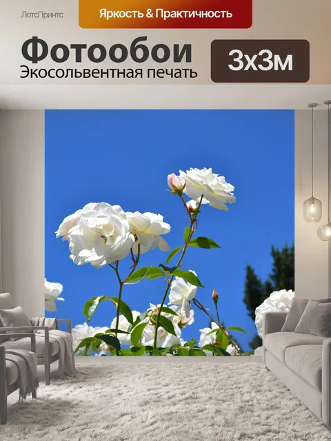 Фотообои Розовый