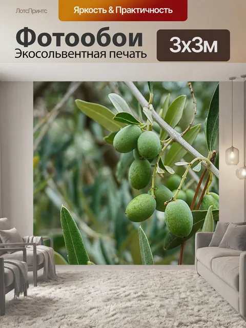 Фотообои Оливки