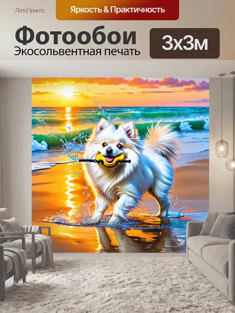 Фотообои белый померанский шпиц играет на морском берегу, игрушка в его пасти, ошмотки воды брызгают вокруг