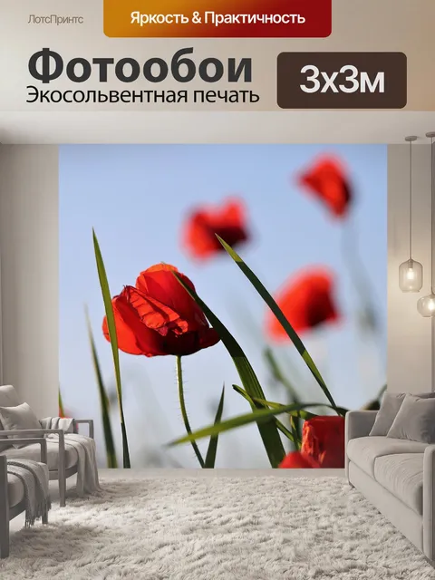 Фотообои Красный букет маков