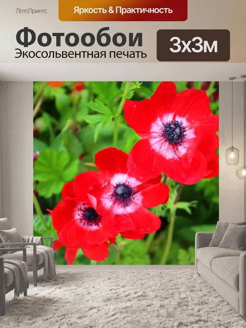 Фотообои Мак